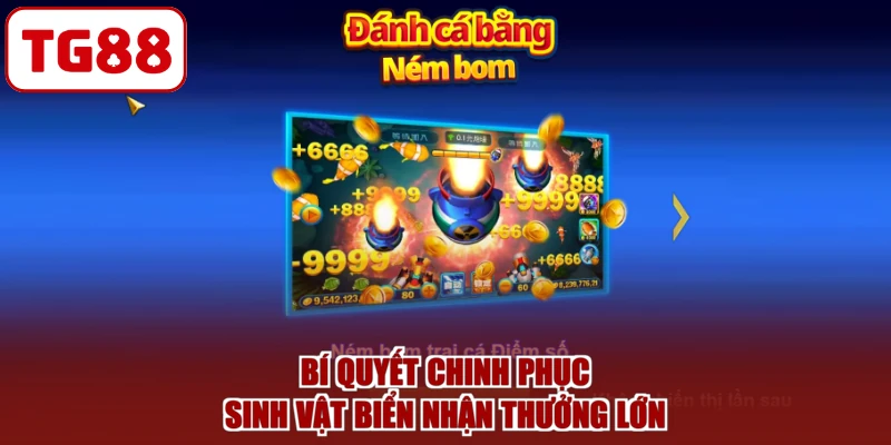Bí quyết chinh phục sinh vật biển nhận thưởng lớn