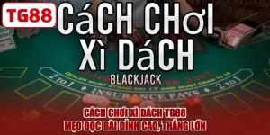 Cách Chơi Xì Dách TG88 - Mẹo Đọc Bài Đỉnh Cao, Thắng Lớn