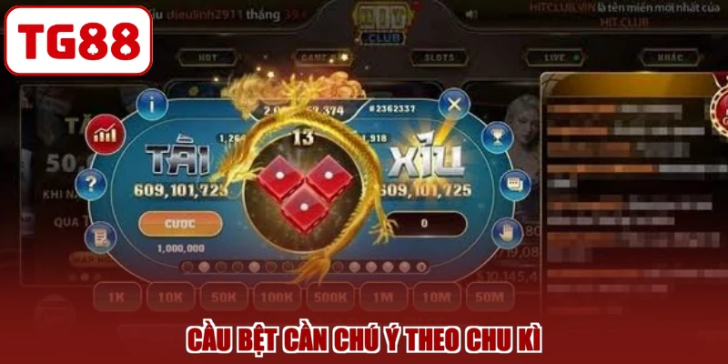 Cầu bệt cần chú ý theo chu kì