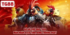 Đá Gà Cựa Dao TG88 - Mãn Nhãn Kịch Tính, Rinh Thưởng Ngay