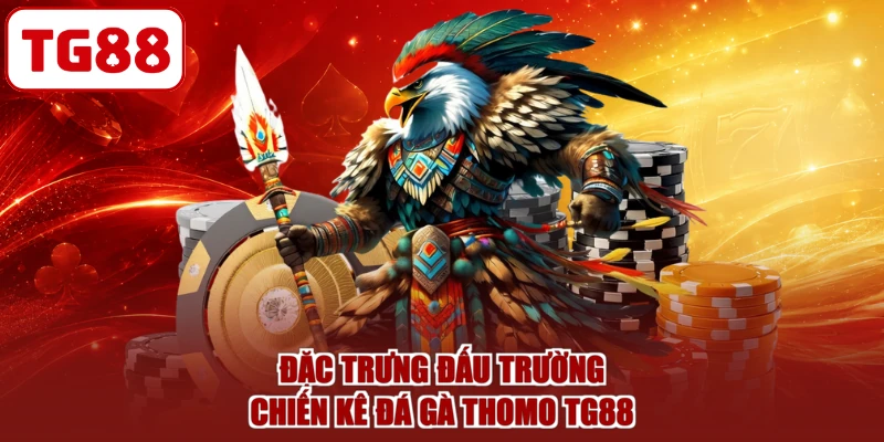 Đặc trưng đấu trường chiến kê đá gà Thomo TG88