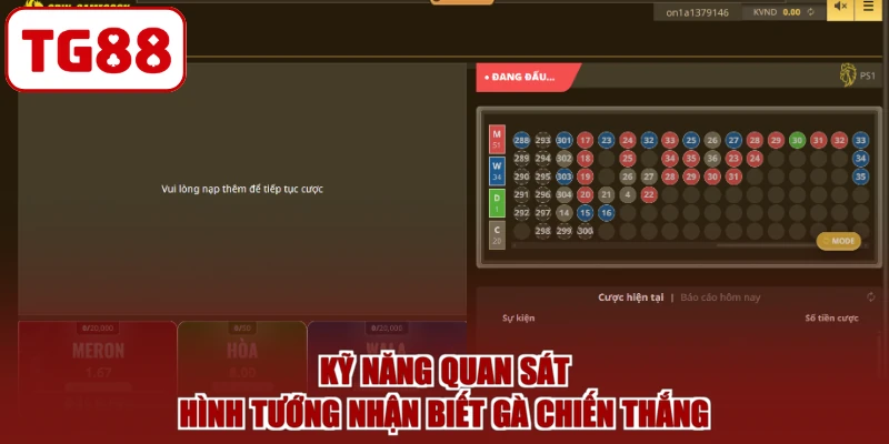 Kỹ năng quan sát hình tướng nhận biết gà chiến thắng