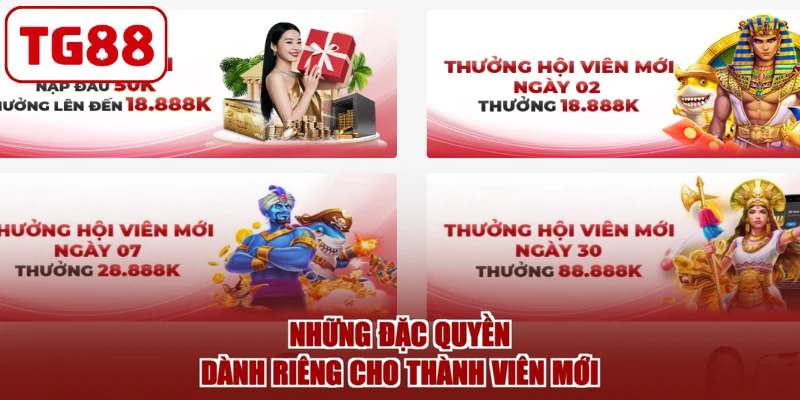 Những đặc quyền dành riêng cho thành viên mới