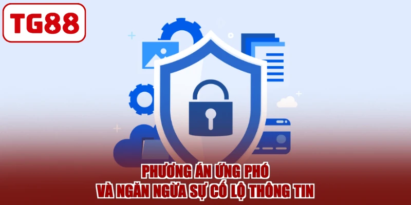 Phương án ứng phó và ngăn ngừa sự cố lộ thông tin