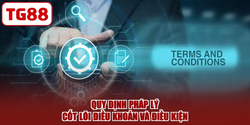 Quy định pháp lý cốt lõi điều khoản và điều kiện
