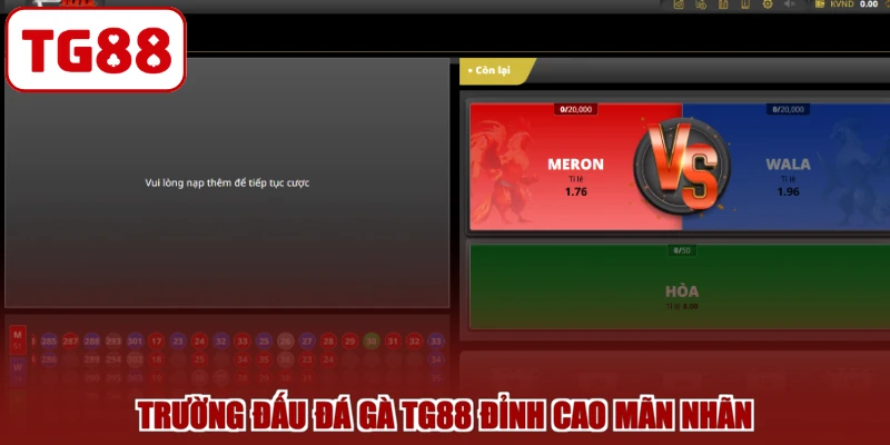 Trường đấu đá gà TG88 đỉnh cao mãn nhãn